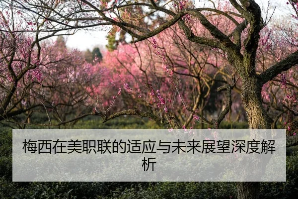 梅西在美职联的适应与未来展望深度解析