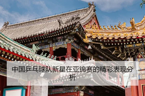 中国乒乓球队新星在亚锦赛的精彩表现分析